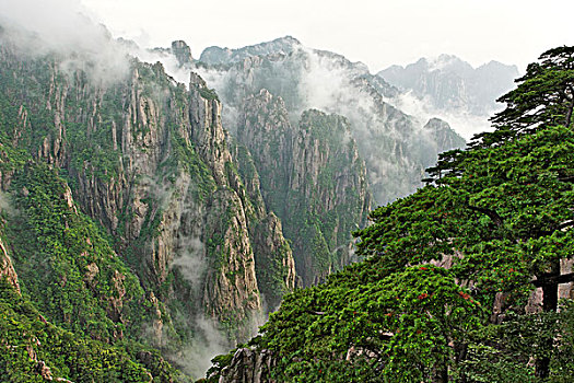 蓝精灵在哪可以买到C1B8D97C5-18975